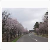 週末は世界一を目指します！