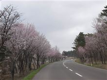 週末は世界一を目指します！
