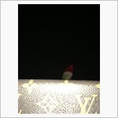 お散歩？