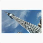 折角だから…