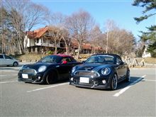 MINI コーティング MINI コーティング