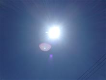 初夏だね