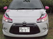 Citroen off-line meeting at Tahara Furusato Park