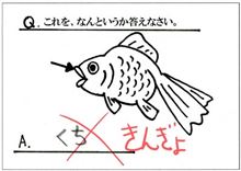 学校のテスト　ああ無情編