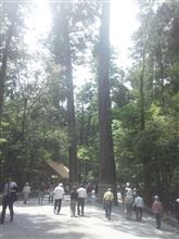 お伊勢参り お伊勢参り