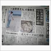 我が家の真ん前にカメ上陸！