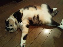 雰囲気大事(o^－^o)