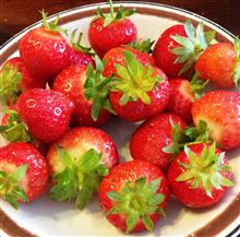 今年はいちごが駄目です(*_*)
