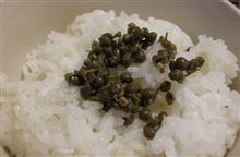 いただきものの、山椒の佃煮。 いただきものの、山椒の佃煮。