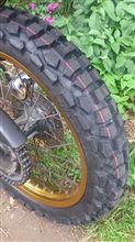 DUNLOP D605 1stインプレ