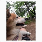 森林公園