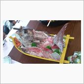 つちのこ探検隊参加！目指せ賞 ...