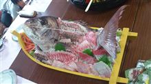 つちのこ探検隊参加！目指せ賞金一億円！
