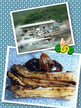 真魚市にＧｏ♪
