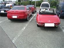 alfaromeo spider duetto morning cafe alfaromeo spider duetto morning cafe