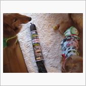 隙間クッション