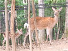 埼玉こども動物自然公園