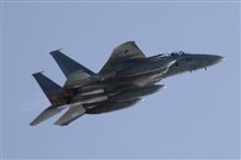 とりあえず、明日久しぶりにF-15