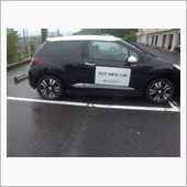 DS3