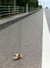 バナナの皮 バナナの皮