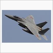 １６時の定期便、ほぼ全機出動