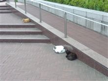 暇そうやなぁ