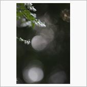 塔ノ岳トレーニングde雲海富 ...