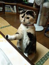 仕事帰りにパラダイスへ♪ 仕事帰りにパラダイスへ♪