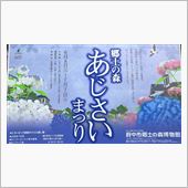 府中市 郷土の森公園の紫陽花