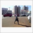 ☆　ＣＲＵＩＳＥ 今日の朝イチ 敷地内に怪しい♂　☆