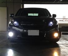 久しぶりの作業～♪