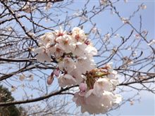 お出かけ3 お出かけ3