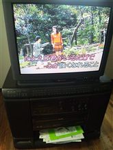 ただの日記
