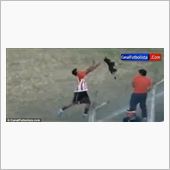 サッカー試合中に犬乱入、選手 ...