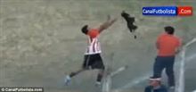 サッカー試合中に犬乱入、選手が放り投げ退場処分