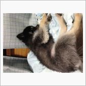 ぐっすり