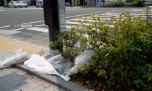 パパの歌♪~忌野清志郎~