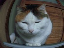 6月15日は・・・