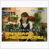 タテを使え
