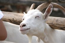 明日は鈴鹿オフ！