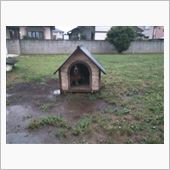 大雨、どうする？
