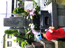 昨日は 昨日は