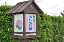 あじさい見てきた