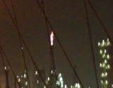 デジタル1眼レフは凄い！