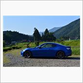 今日は山。
