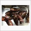 土砂降りの中のカサゴ釣リ大会