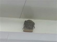 寂しくなったな(&#180;；ω；`)
