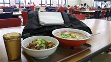 暑さにも慣れてきました
