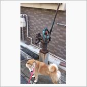 こんなものが＾＾