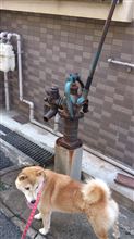 こんなものが＾＾